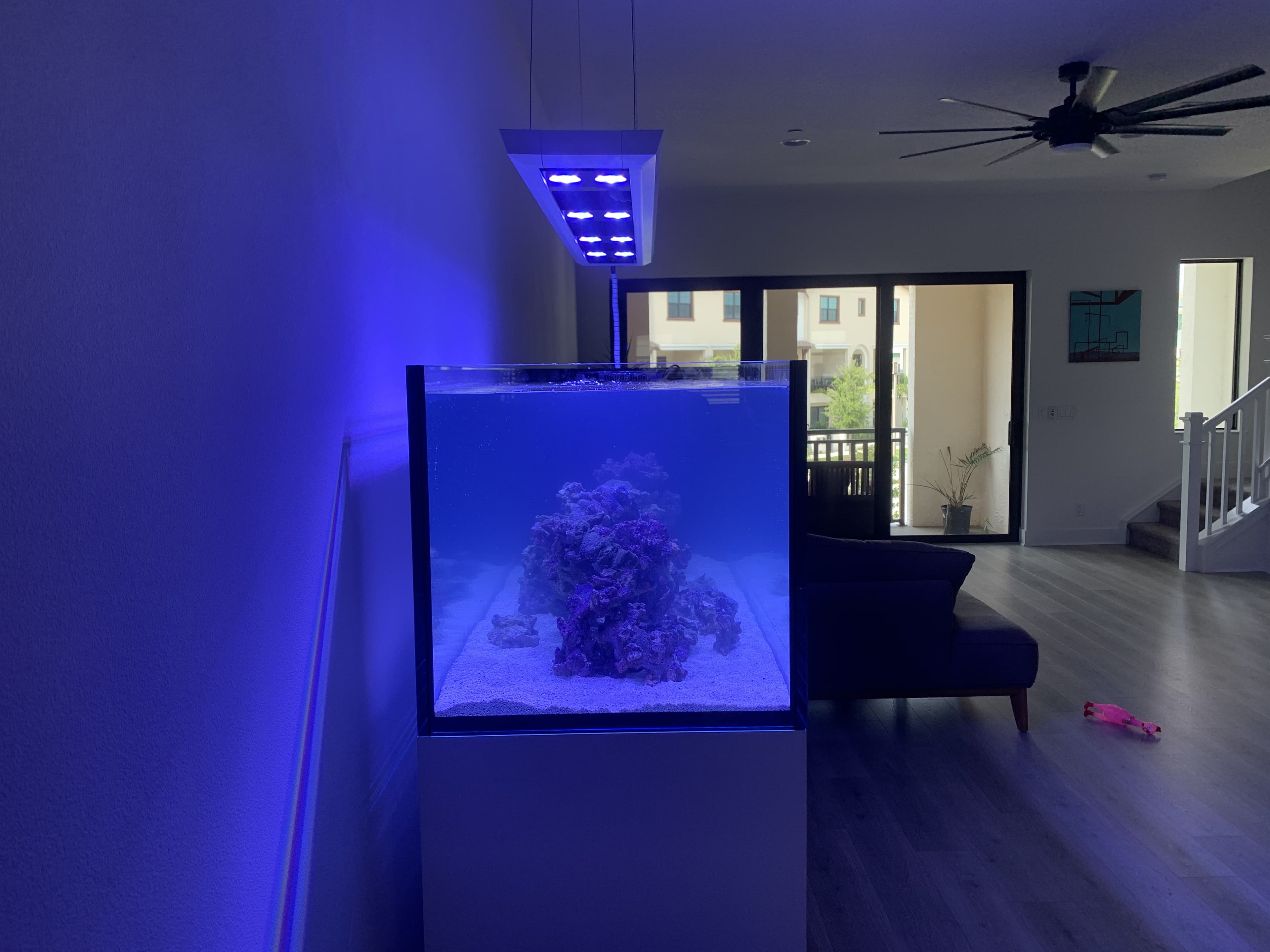 Modern cube reef aquarium with pendant light in open-plan Palm Beach County home β minimalist install by Aquaholic Aquarium Services