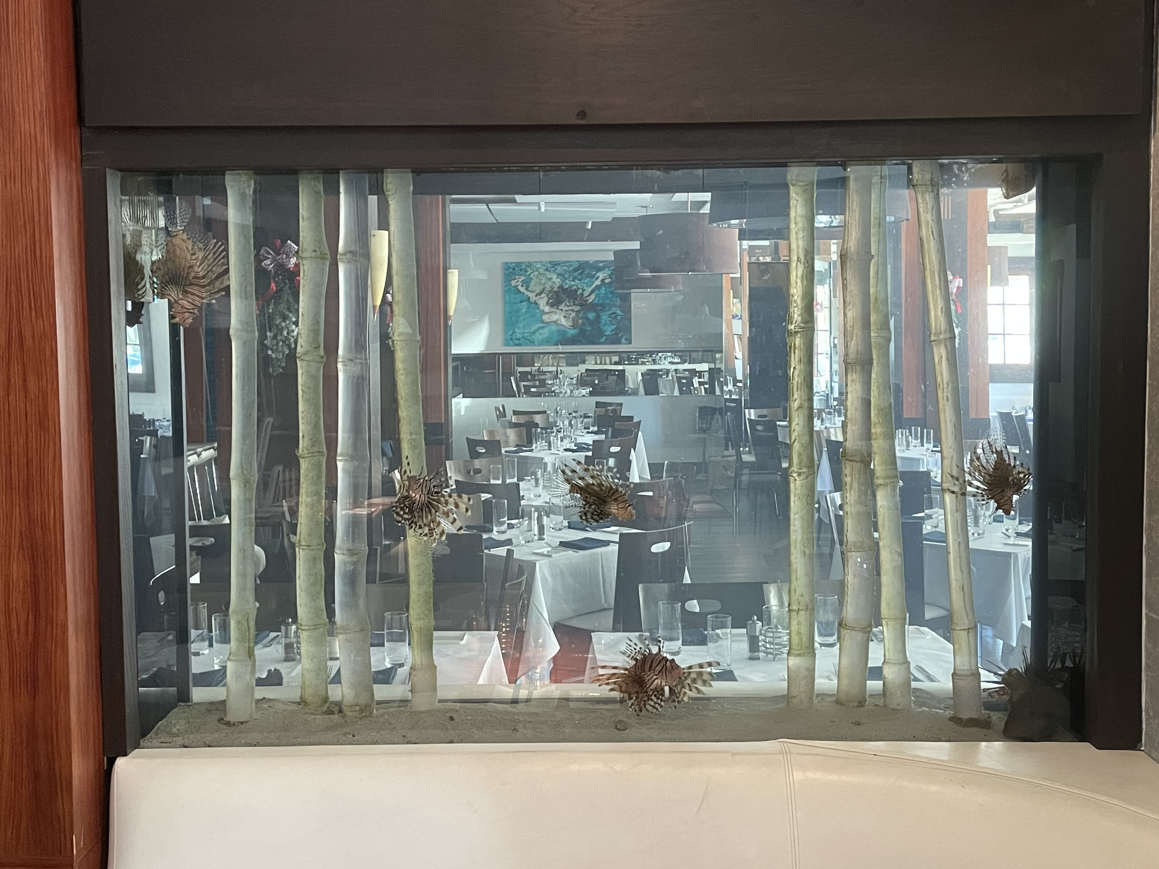 Commercial restaurant reef aquarium built into a wall bench with bamboo stalks and lionfish β custom commercial install by Aquaholic Aquarium Services